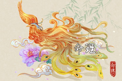 择日子,择吉老黄历皇历,择吉老黄历